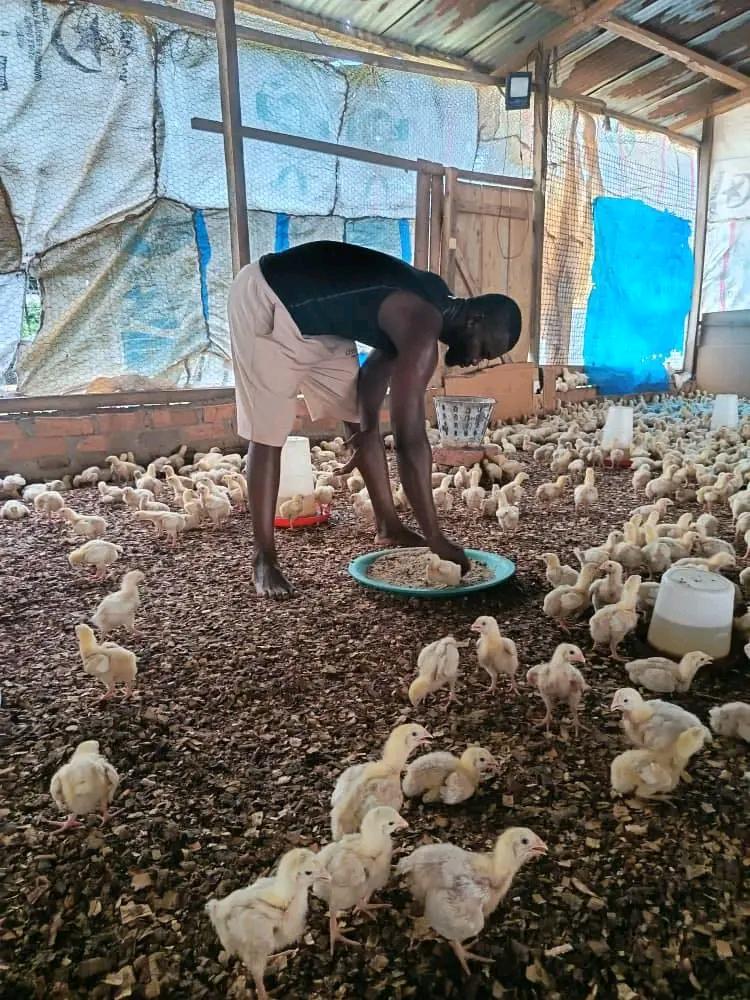 Entrepreneuriat et sécurité alimentaire